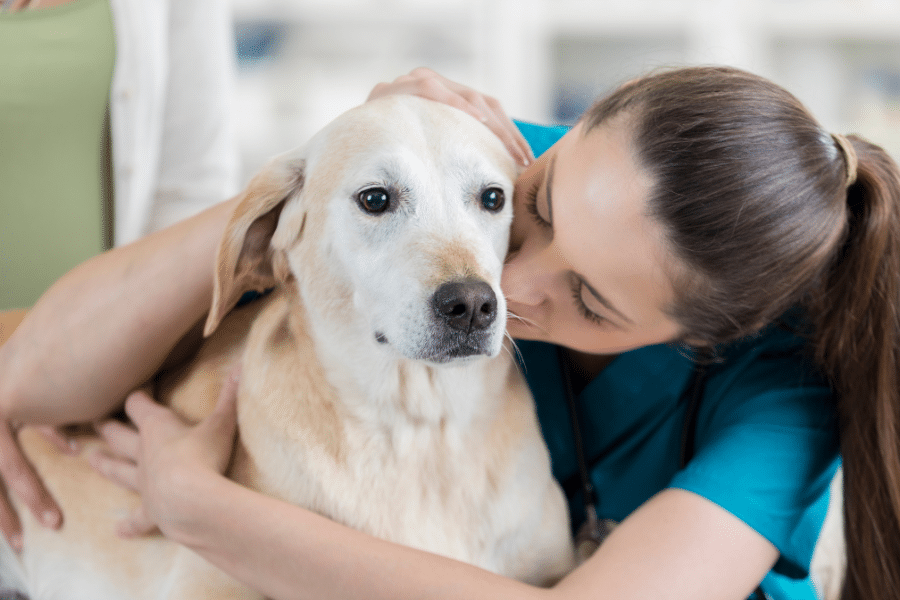 woman in scrubs hugging dog
